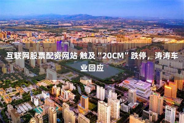 互联网股票配资网站 触及“20CM”跌停，涛涛车业回应