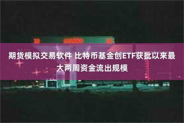 期货模拟交易软件 比特币基金创ETF获批以来最大两周资金流出规模