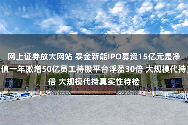 网上证劵放大网站 泰金新能IPO募资15亿元是净资产4倍 估值一年激增50亿员工持股平台浮盈30倍 大规模代持真实性待检