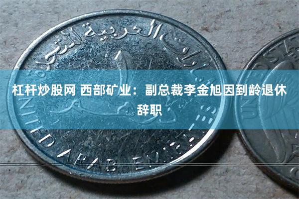 杠杆炒股网 西部矿业：副总裁李金旭因到龄退休辞职