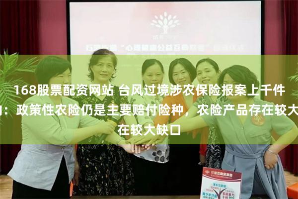 168股票配资网站 台风过境涉农保险报案上千件 业内：政策性农险仍是主要赔付险种，农险产品存在较大缺口