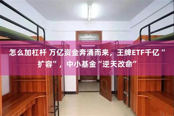 怎么加杠杆 万亿资金奔涌而来，王牌ETF千亿“扩容”，中小基金“逆天改命”