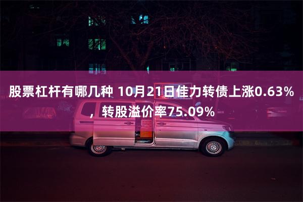 股票杠杆有哪几种 10月21日佳力转债上涨0.63%，转股溢价率75.09%