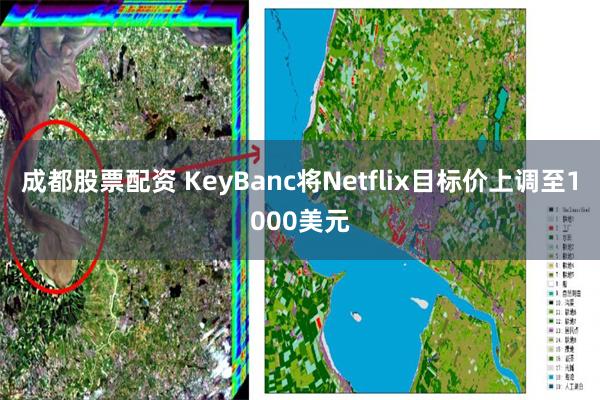 成都股票配资 KeyBanc将Netflix目标价上调至1000美元