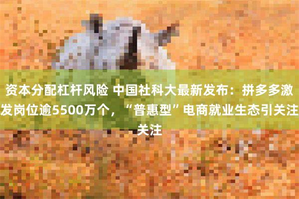 资本分配杠杆风险 中国社科大最新发布：拼多多激发岗位逾5500万个，“普惠型”电商就业生态引关注