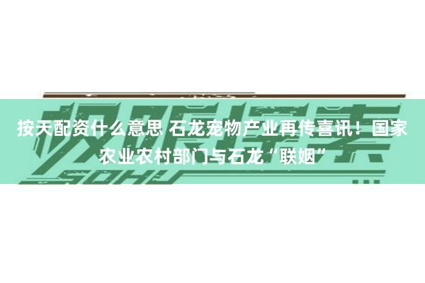 按天配资什么意思 石龙宠物产业再传喜讯！国家农业农村部门与石龙“联姻”