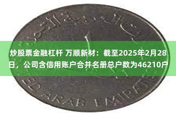 炒股票金融杠杆 万顺新材：截至2025年2月28日，公司含信用账户合并名册总户数为46210户