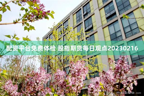 配资平台免费体检 股指期货每日观点20230216